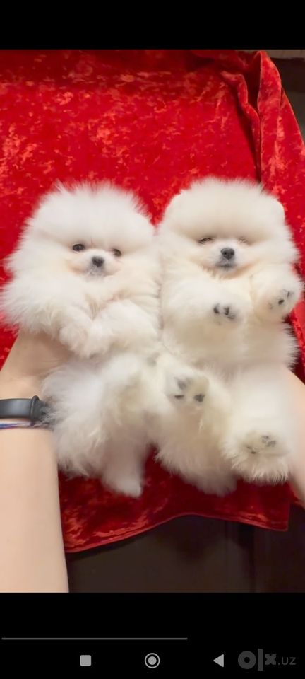 300 USD