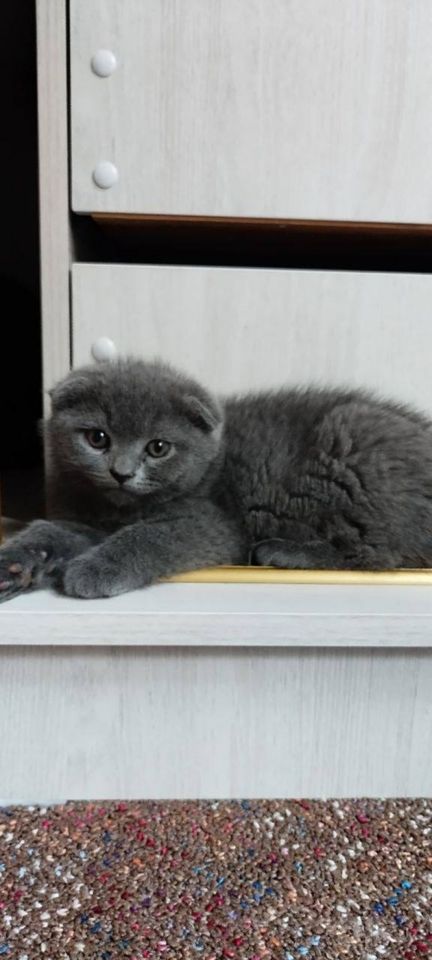 400 000 сум