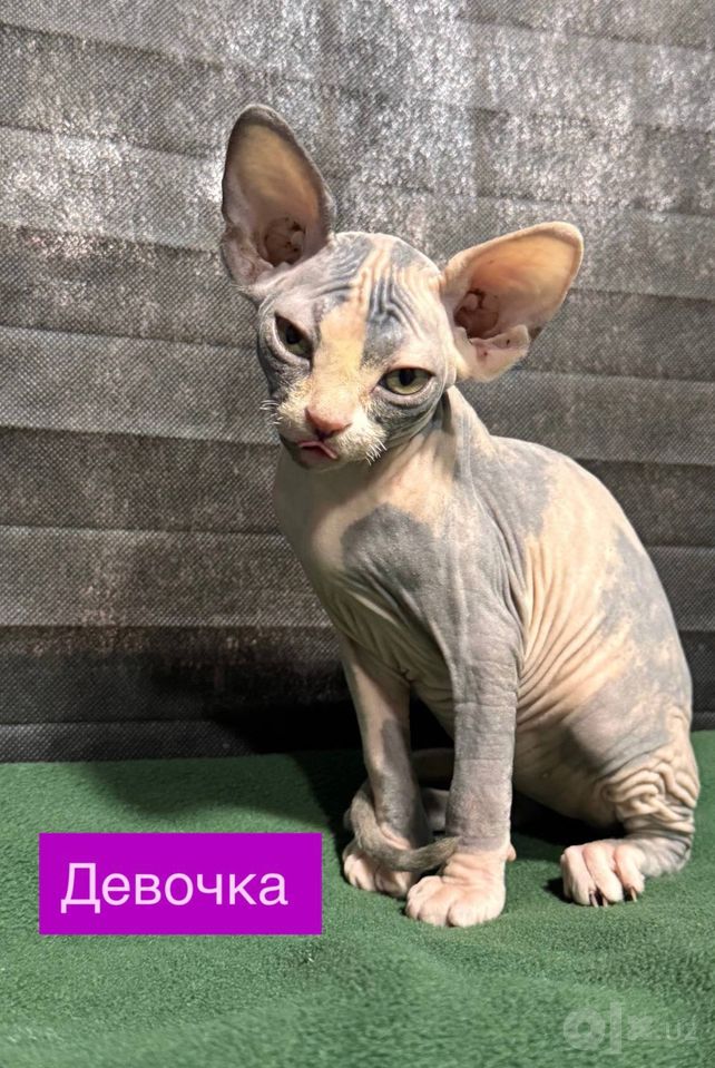 150 USD