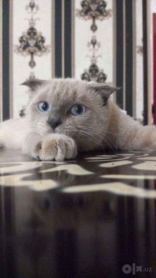 150 000 сум