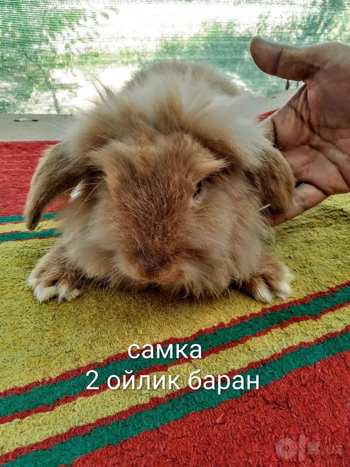 200 000 сум