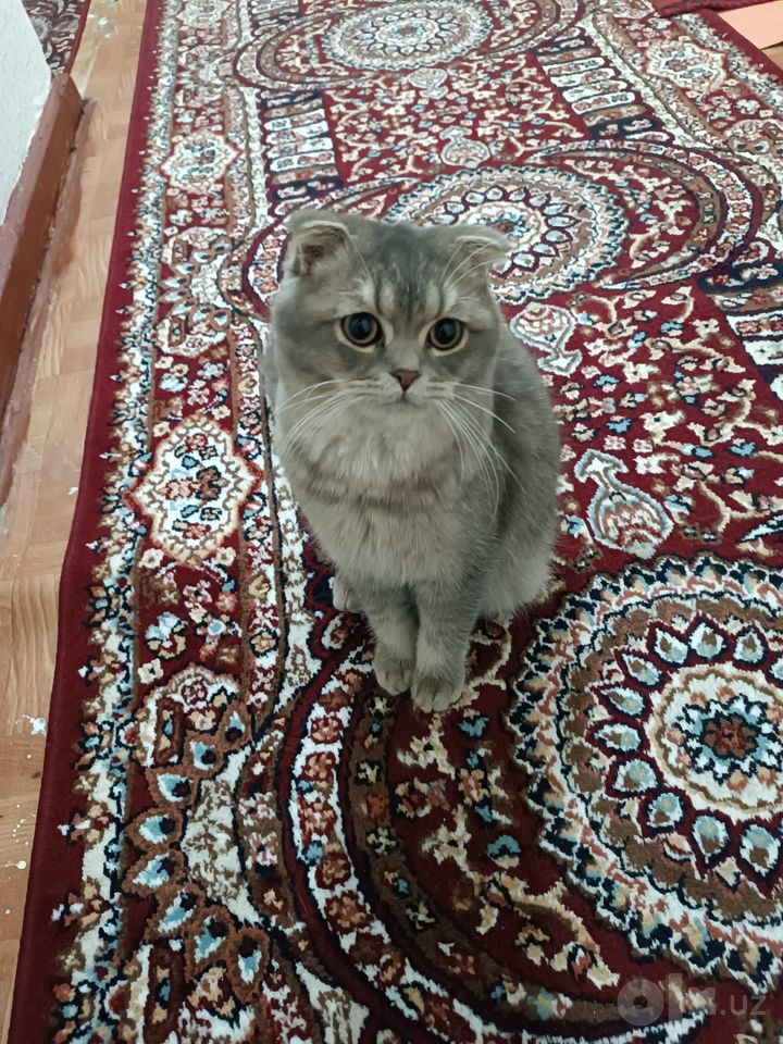 2 500 000 сум