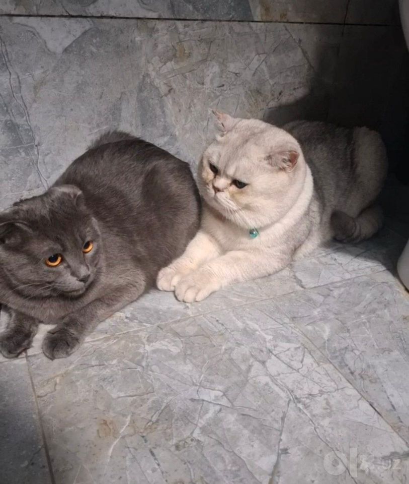 1 200 000 сум