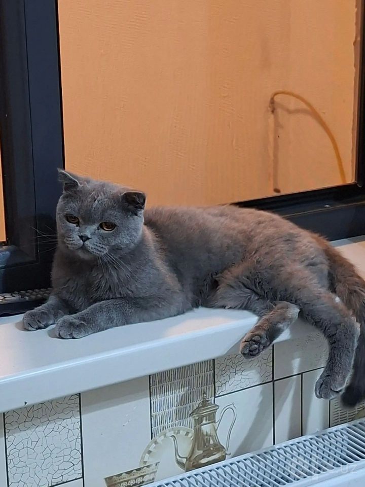 1 000 000 сум