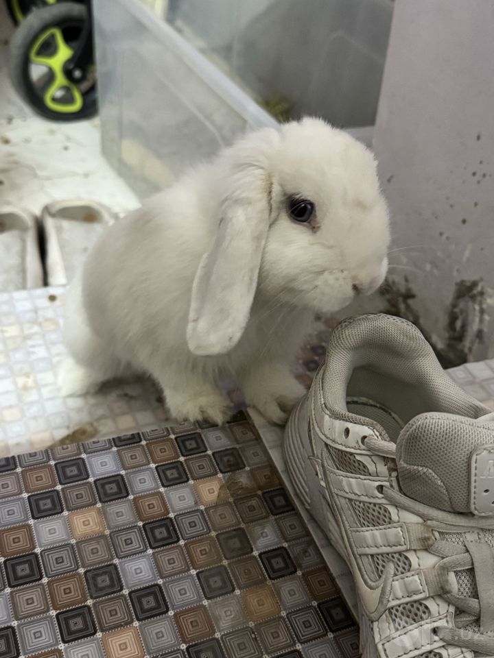 350 000 сум