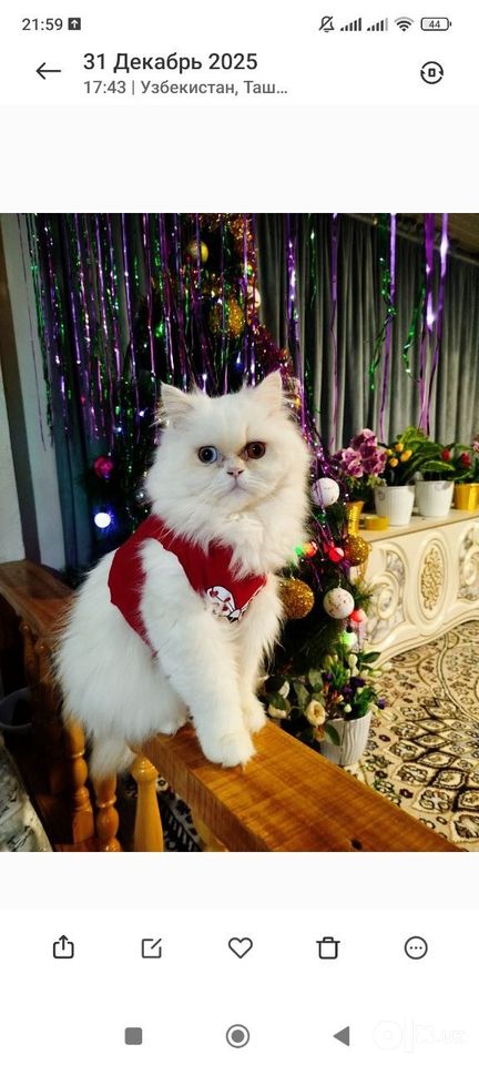 1 500 000 сум