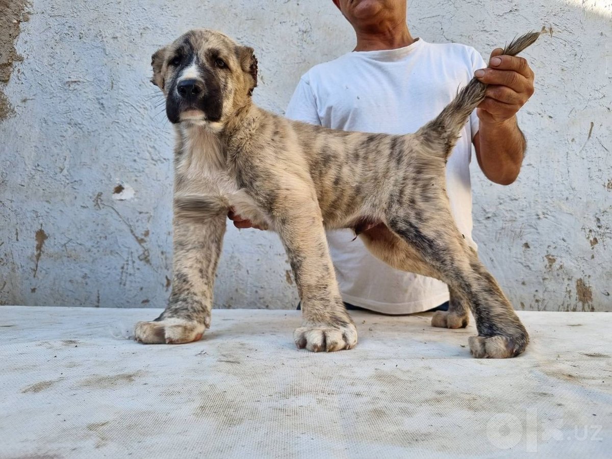 130 USD