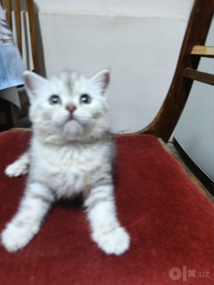 120 USD