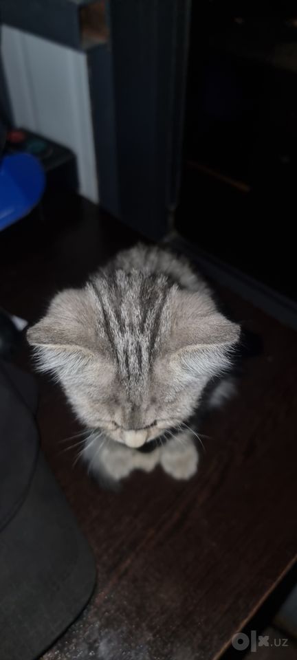 500 000 UZS