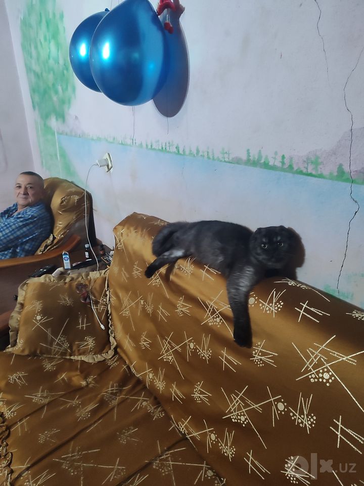 100 USD