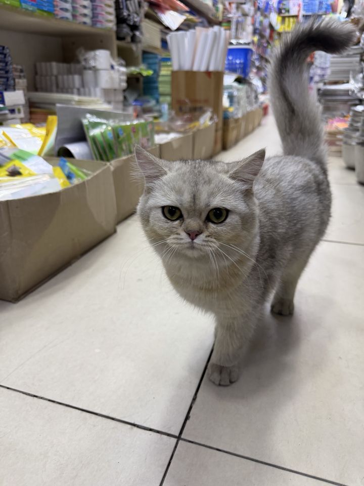 150 USD