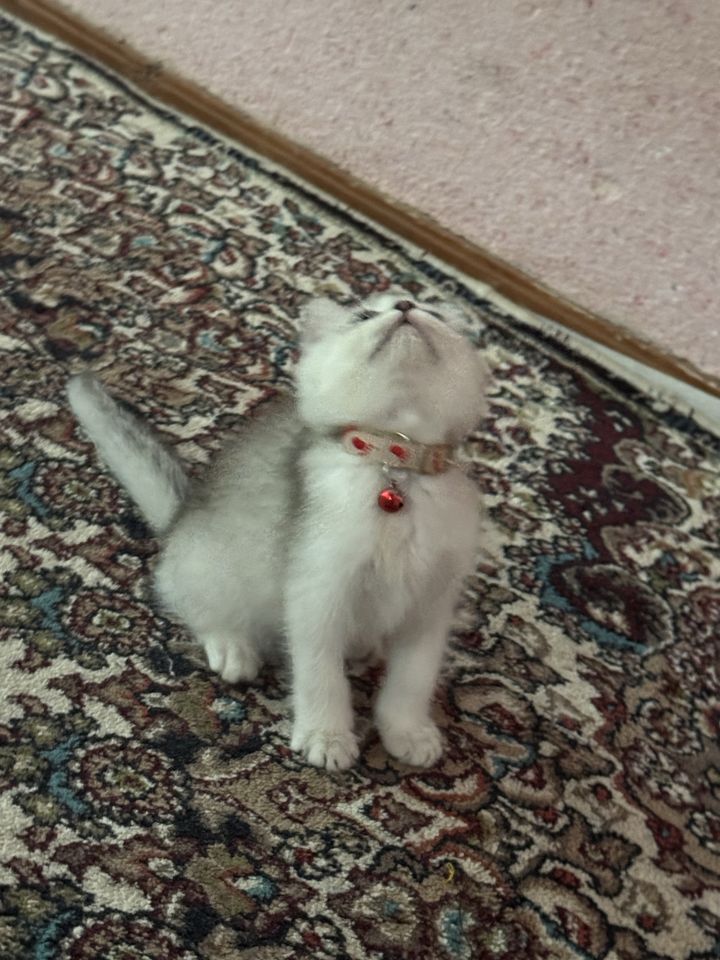 1 200 000 сум