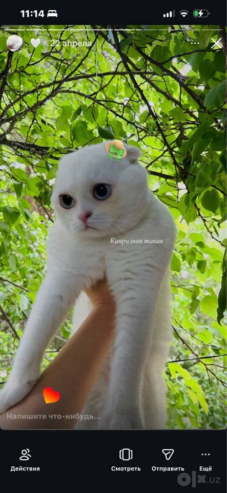 60 USD
