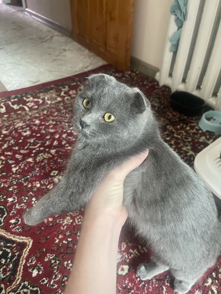 750 000 сум