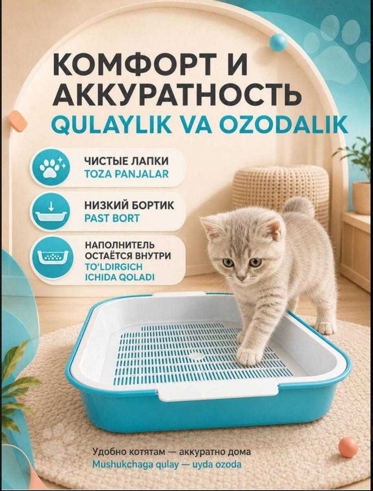 150 000 UZS