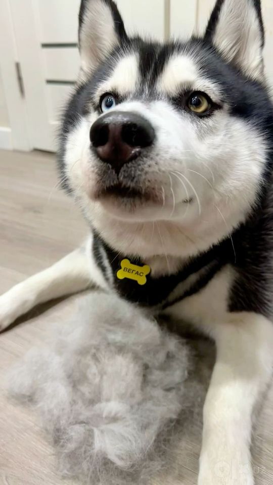 100 USD