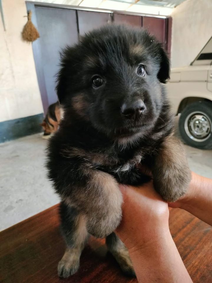 1 000 000 сум