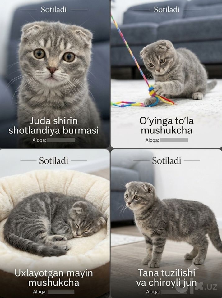 110 USD