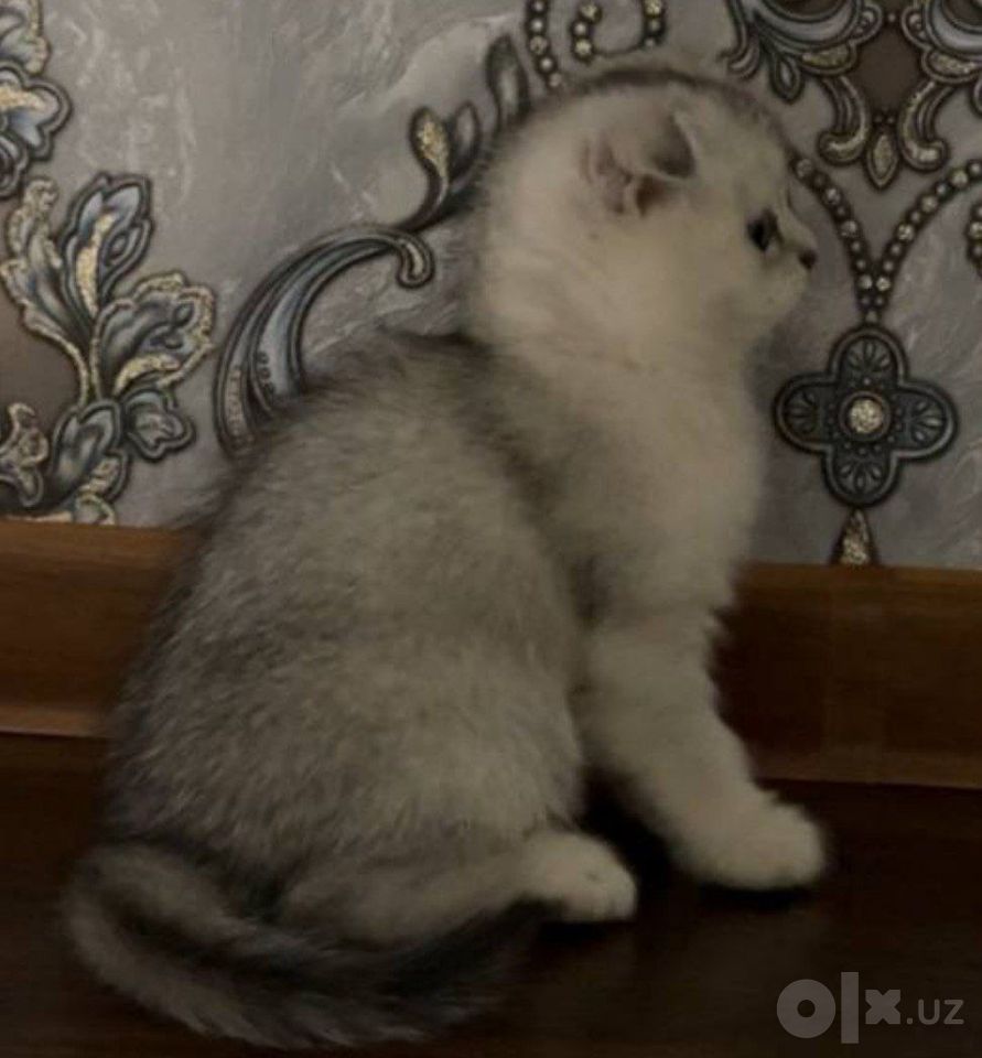 120 USD