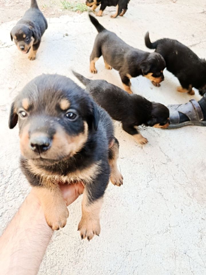 120 USD