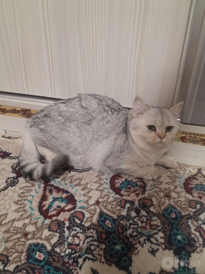 1 000 000 сум