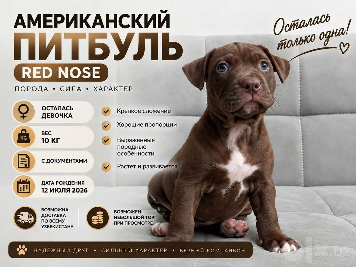 300 USD