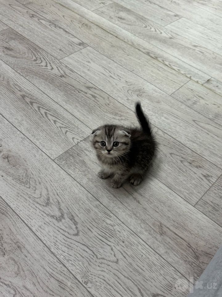 1 000 000 сум