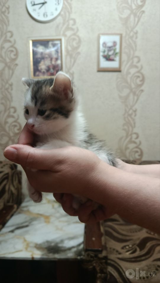 1 000 000 UZS