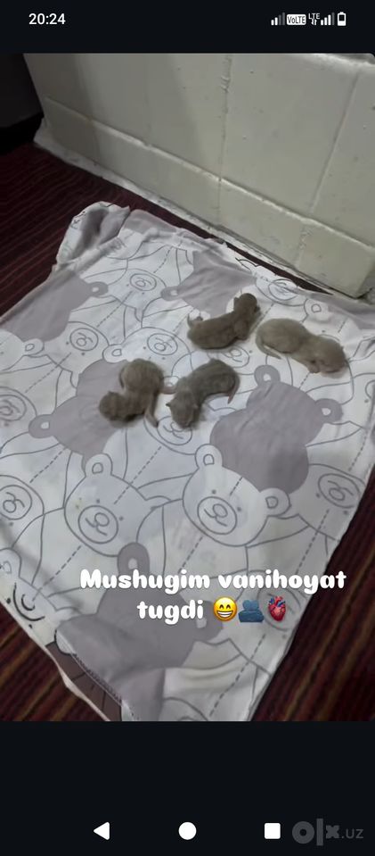 1 000 000 сум