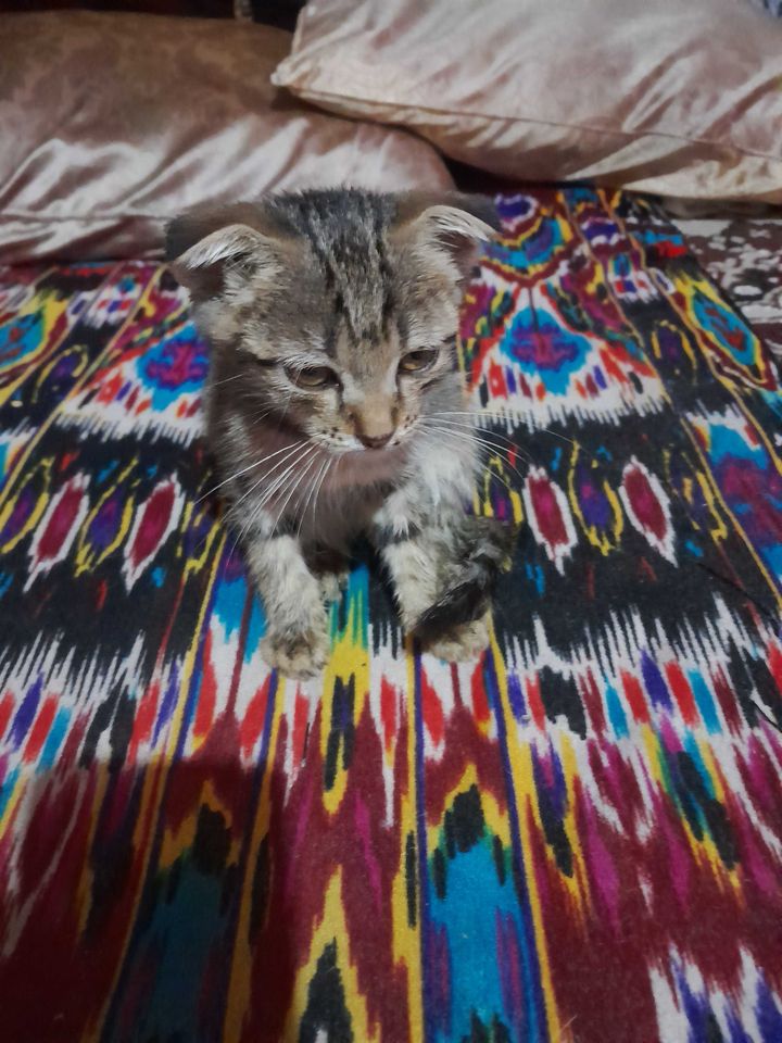 1 000 000 сум