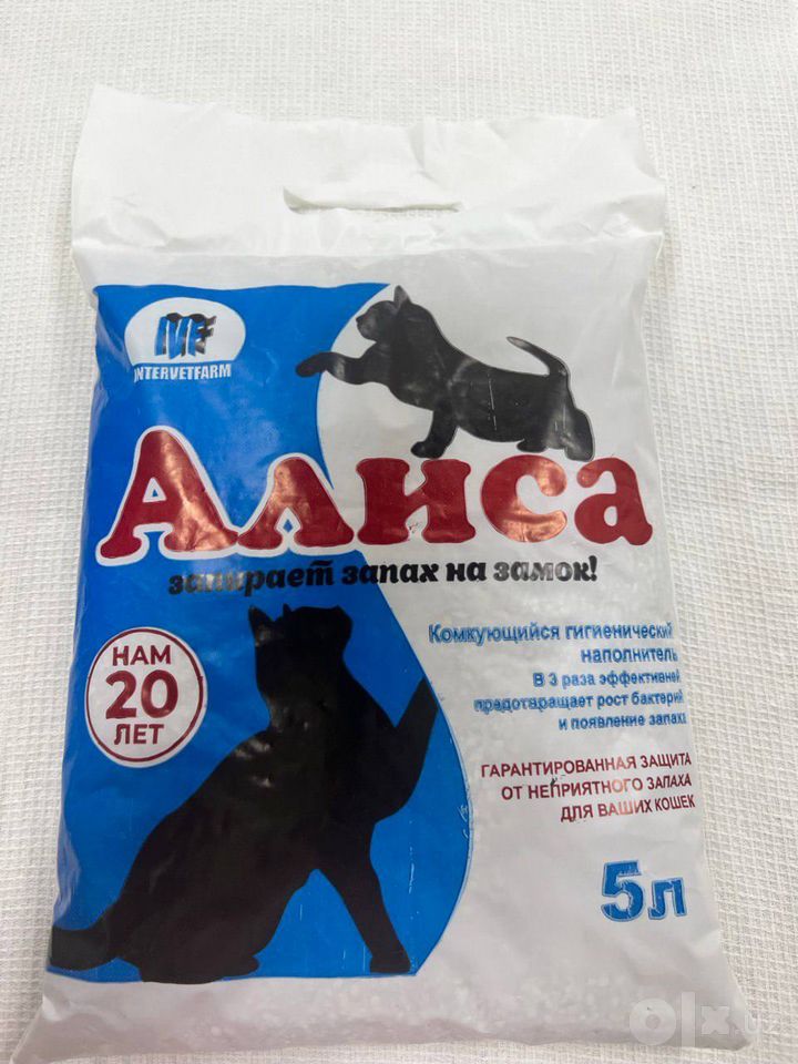 5 000 сум
