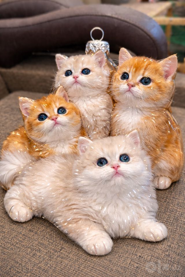 3 000 000 сум