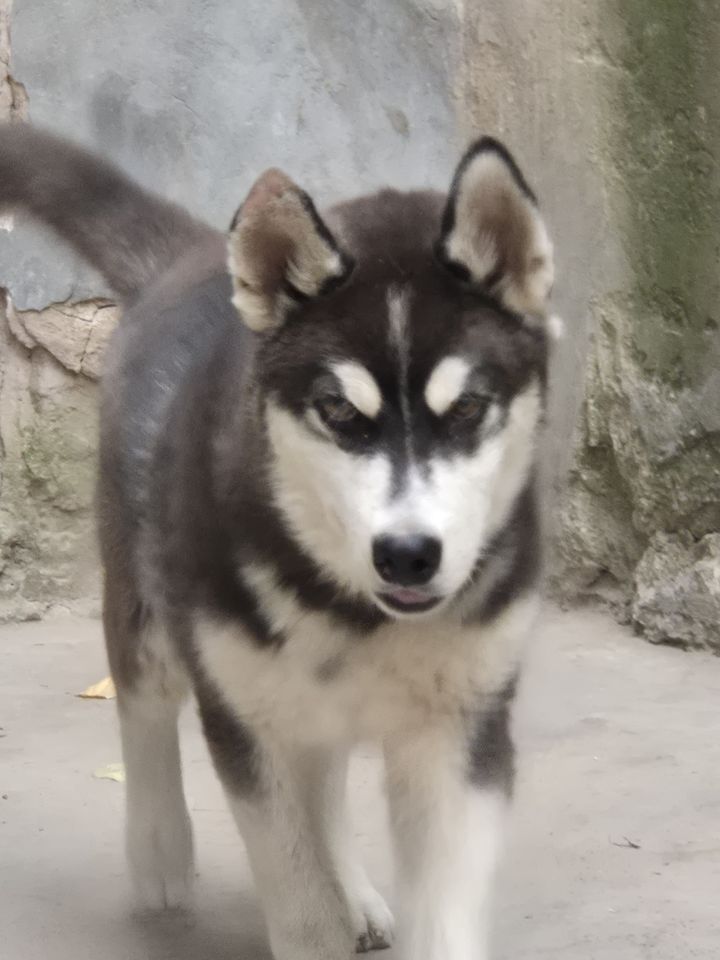 5 200 000 сум