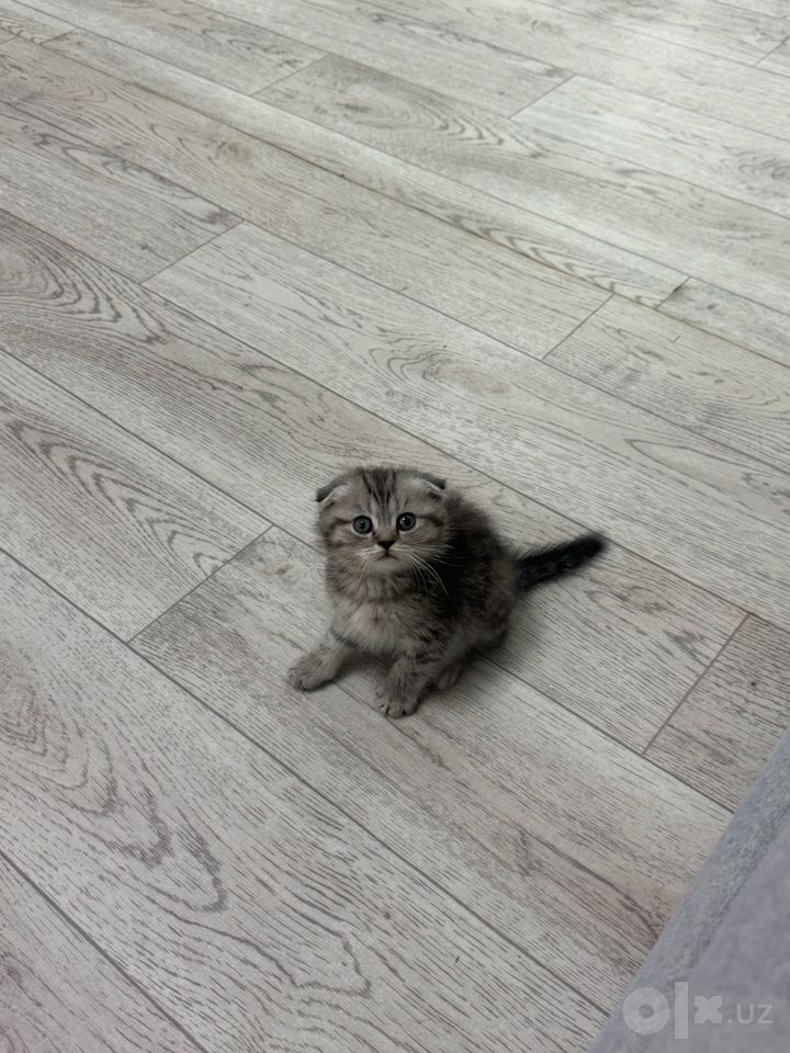 1 000 000 сум