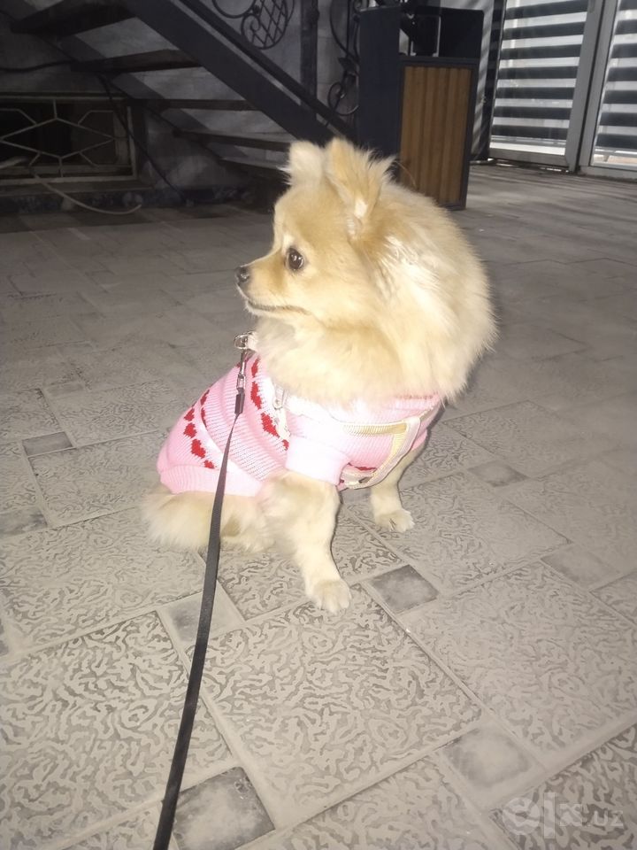 500 000 сум