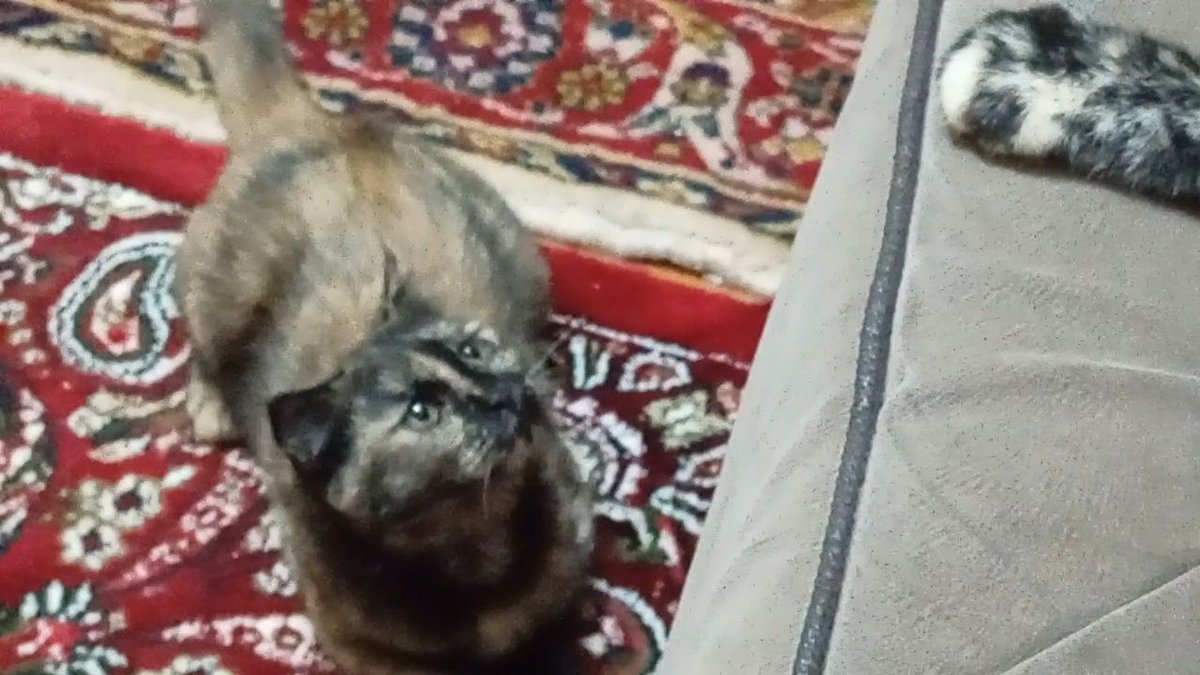 500 000 сум