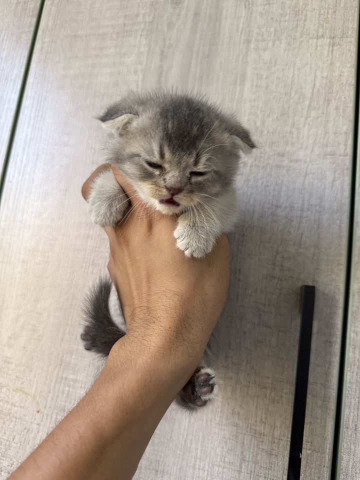 500 000 сум
