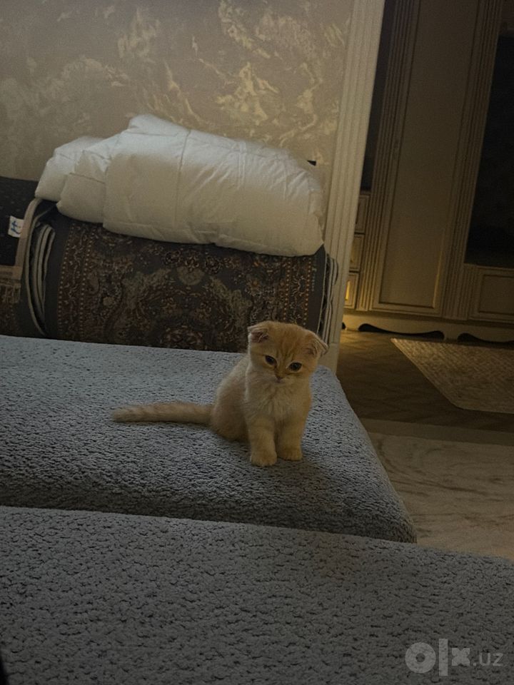 700 000 сум