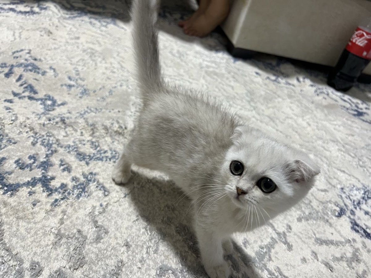 1 700 000 сум