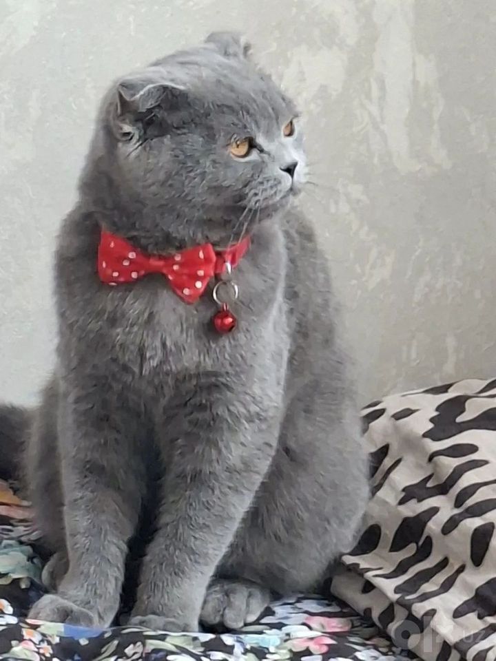 1 000 000 сум