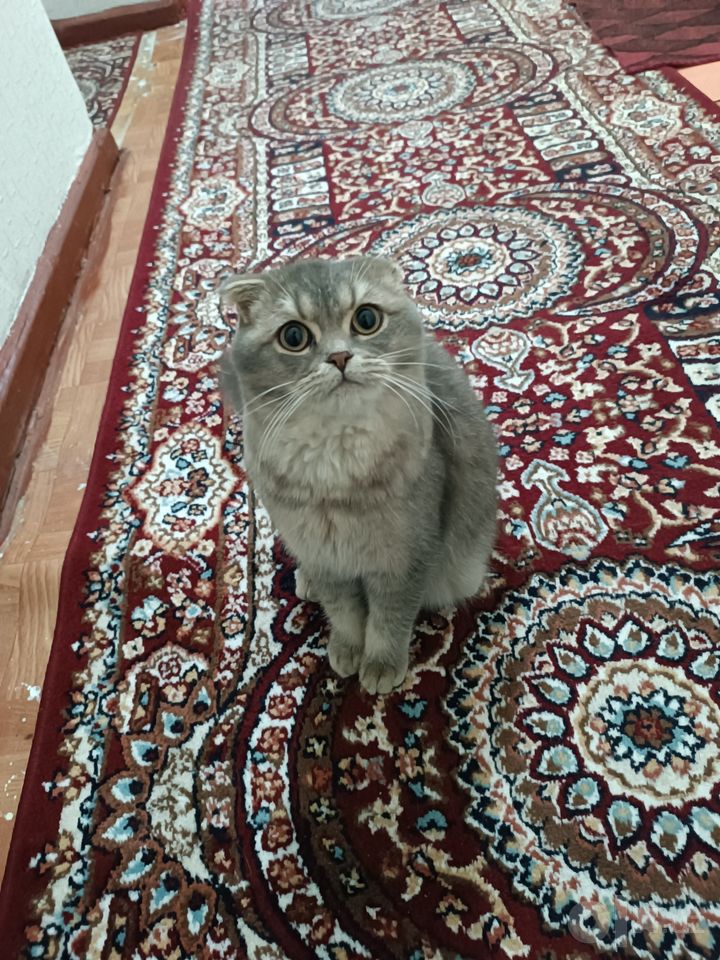 2 500 000 сум