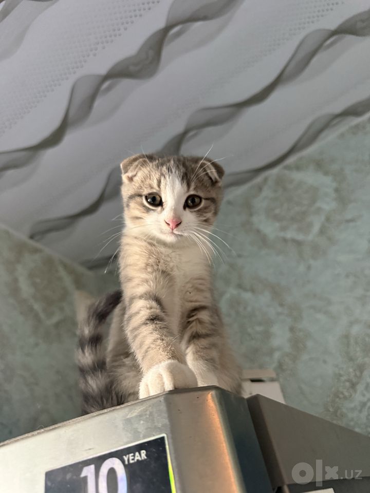 500 000 сум
