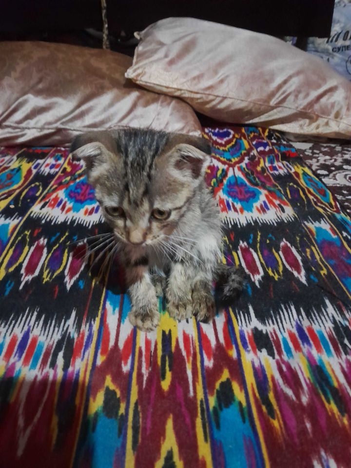 1 000 000 сум