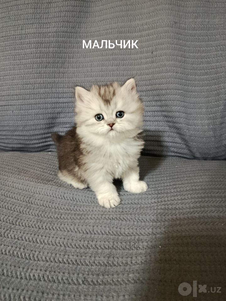 300 USD