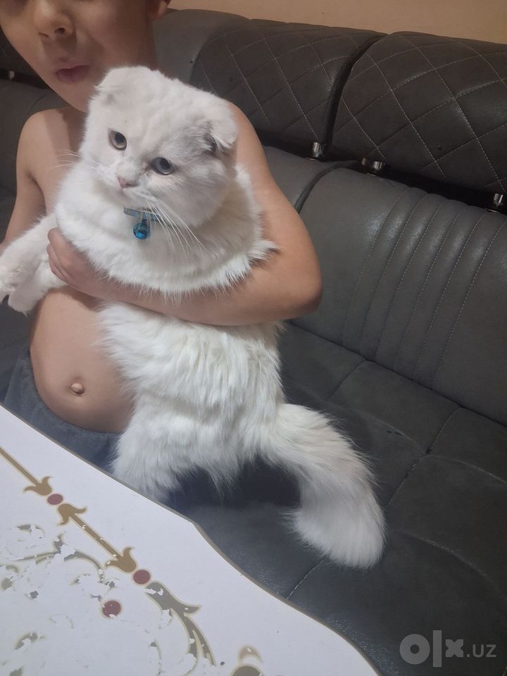 1 500 000 UZS