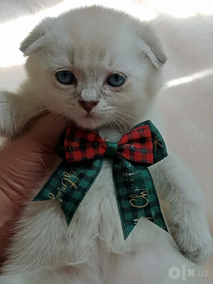 150 USD