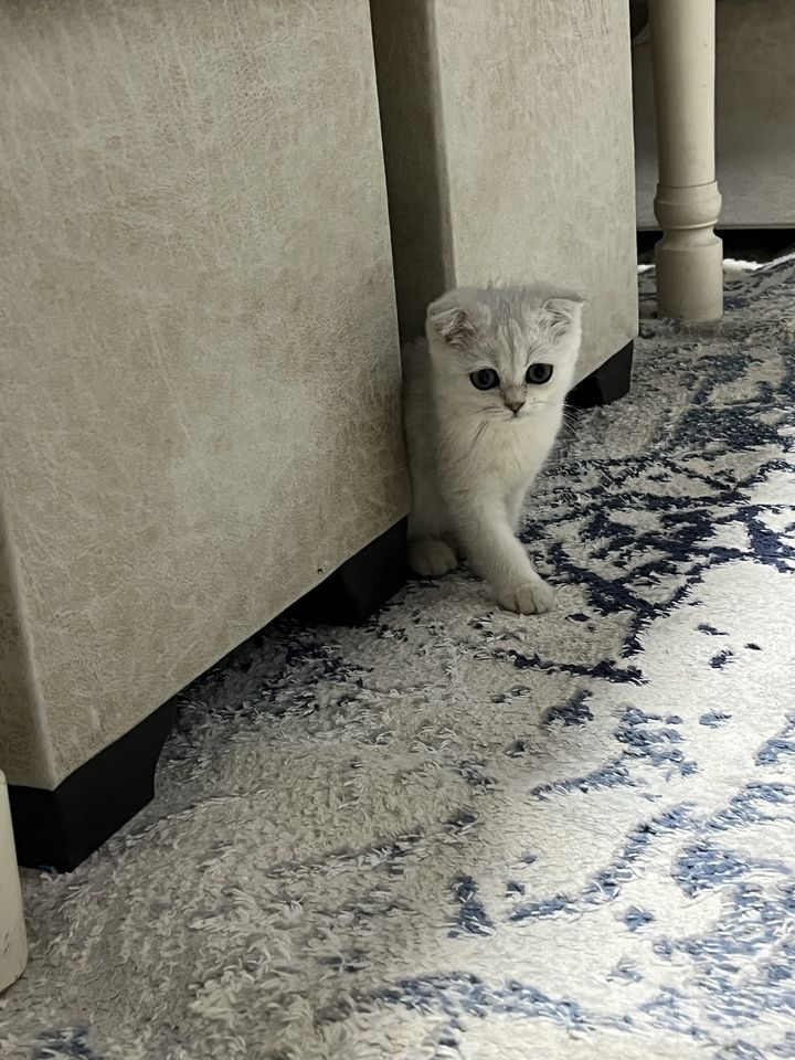 1 700 000 сум