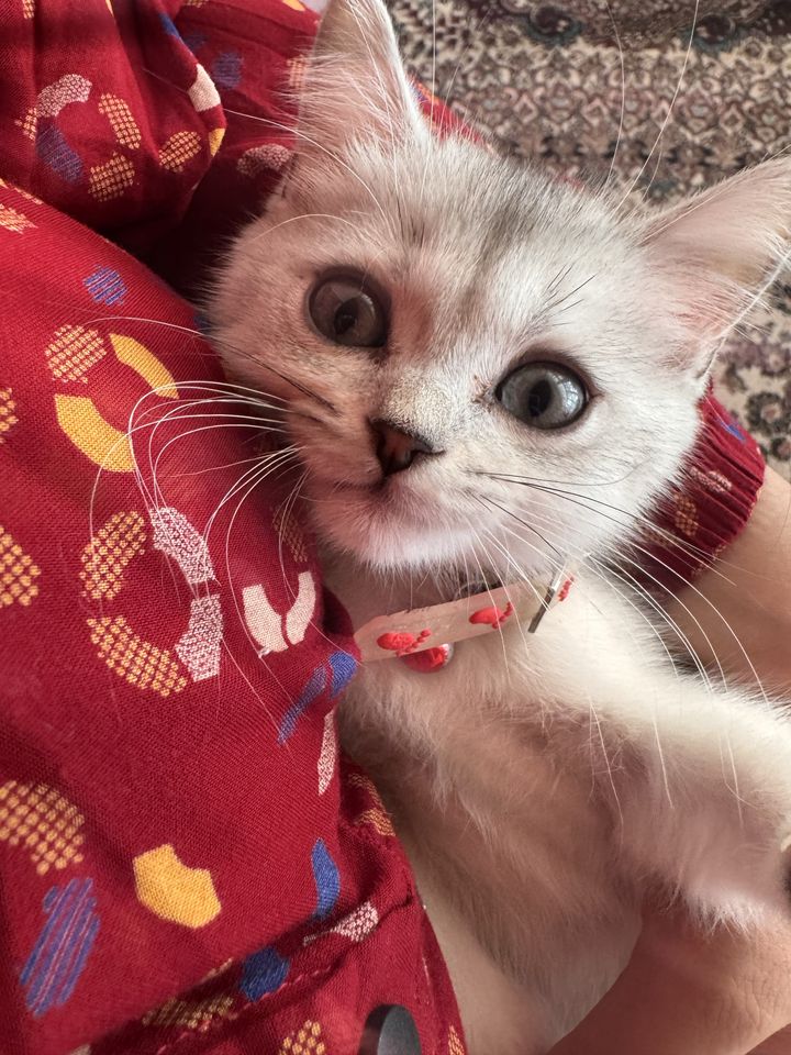 1 200 000 сум