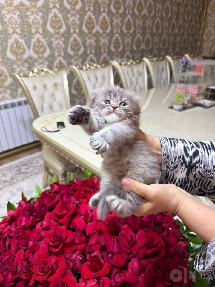 1 200 000 UZS