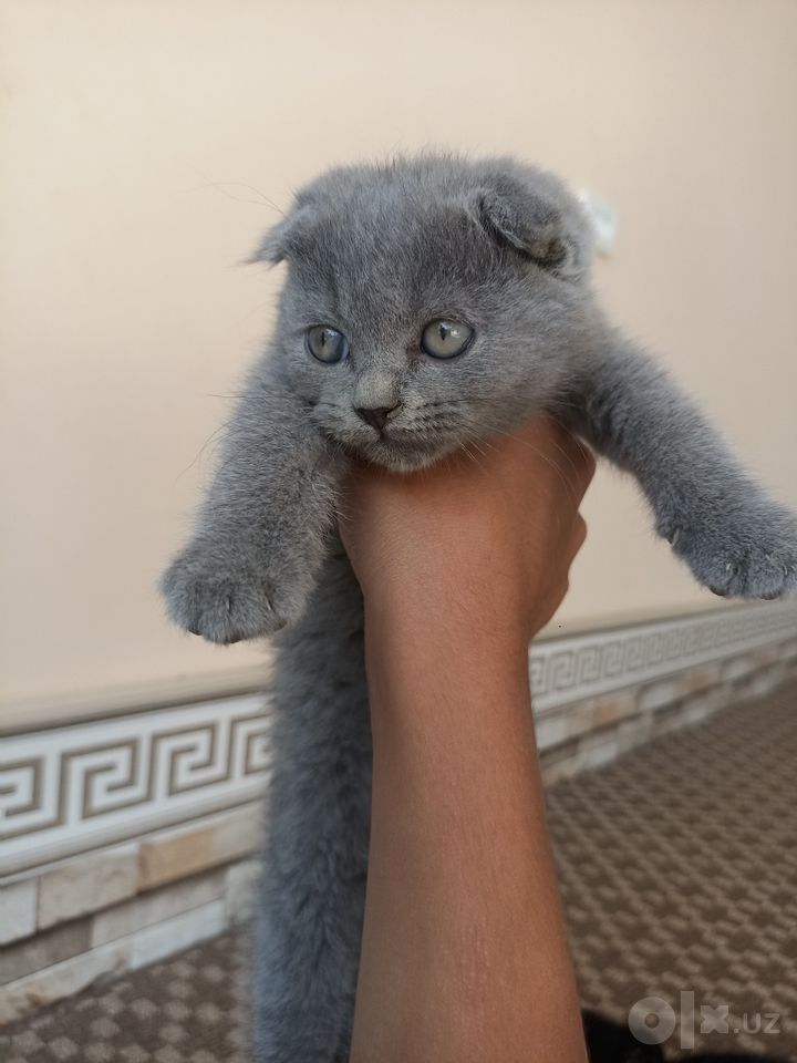1 000 000 сум